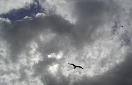 дождь будет ?