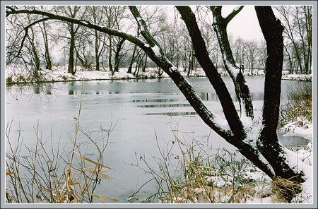 День 1 Декабря - 2 (каким я его увидел)