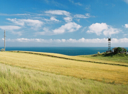 Жовто-блакитный