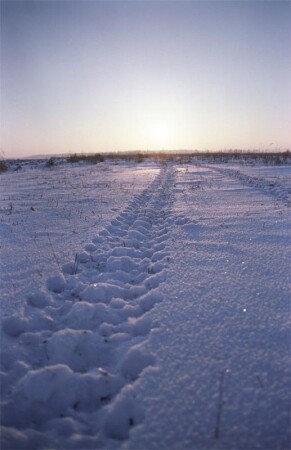 ... в морозный закат