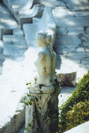 Venera