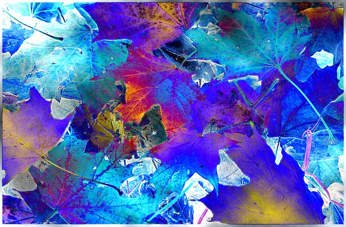 Autumn in blue tones