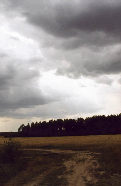 Перед грозой