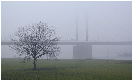 в тумане 3
