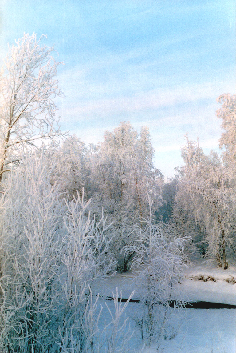 Красота совсем рядом [1]