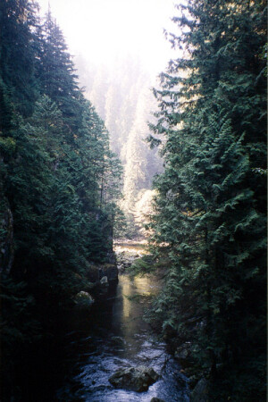 Capilano River