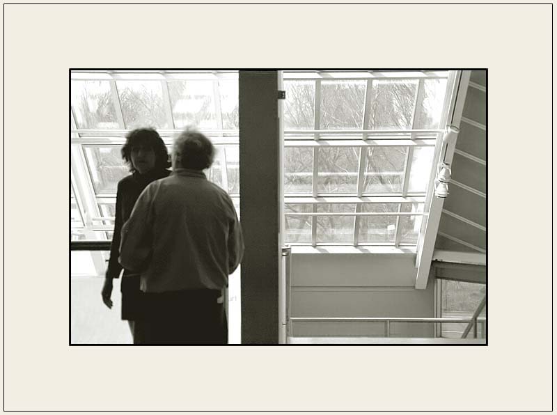 The Dialog.