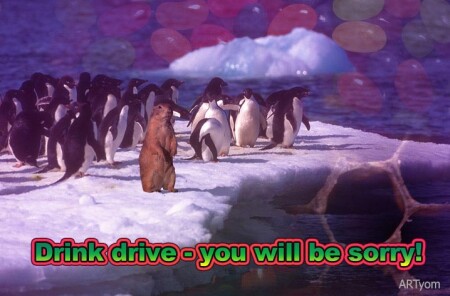 Drink drive - u will be sorry...