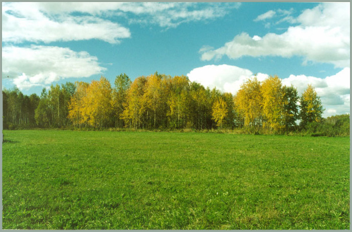 Осень в Сибири
