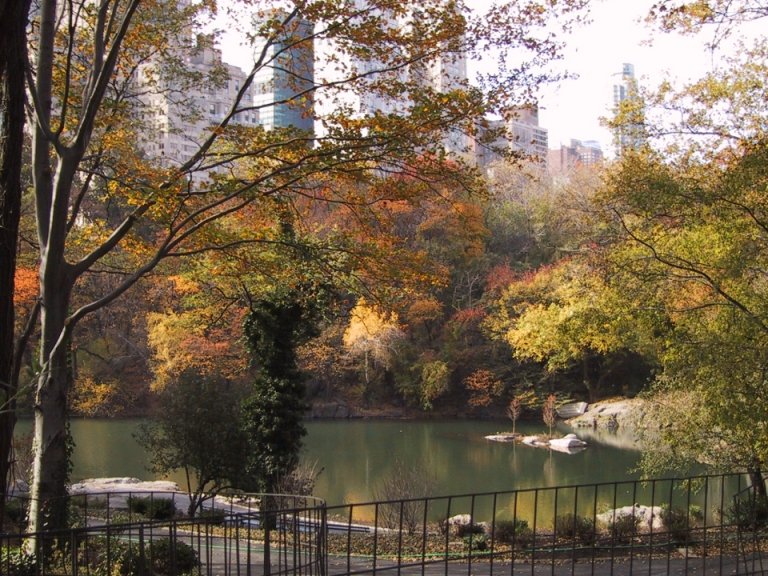 Urban Oasis