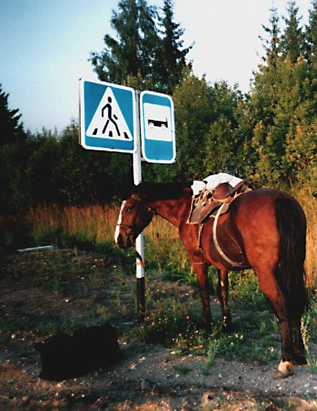 Предлагаю третий вариант!