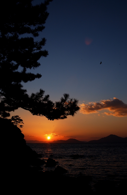 Beautiful sun....(.ї.С.Ь.С.д)