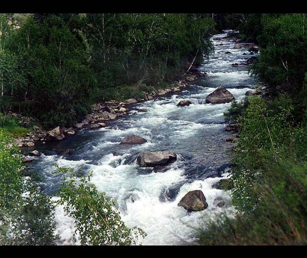 Живая вода