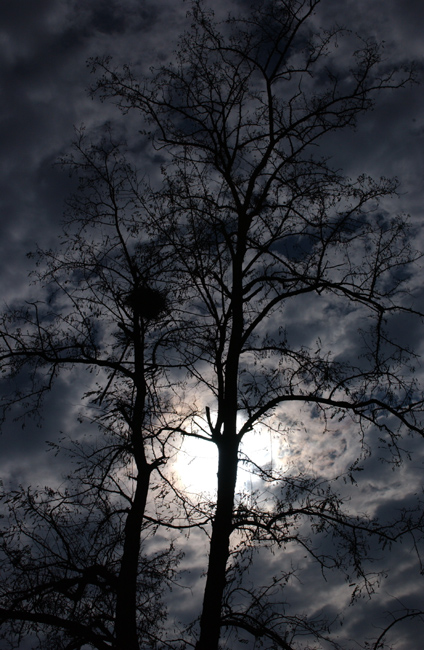 Night...