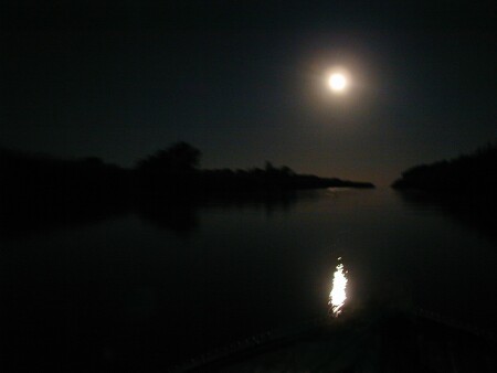 Темно,как у...