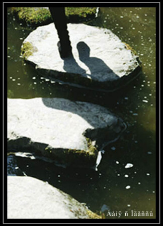 вечерние море