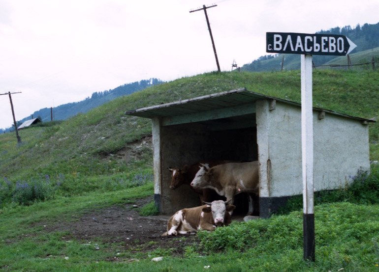 Последний автобус