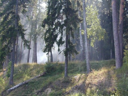 Пикник на обочине