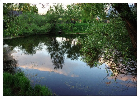 Просто летняя фотка