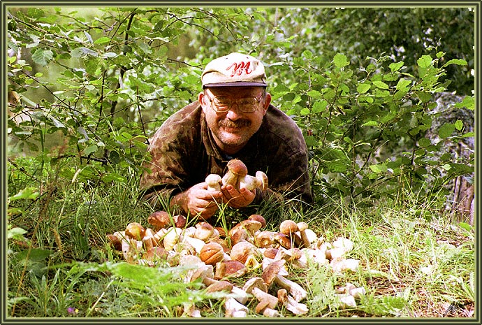 Июльский кайф