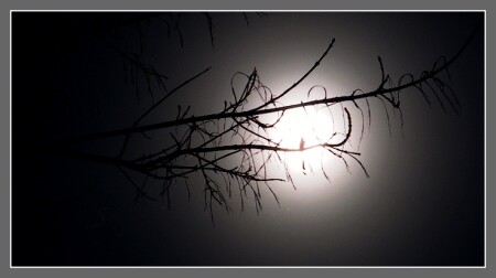 как бледное пятно