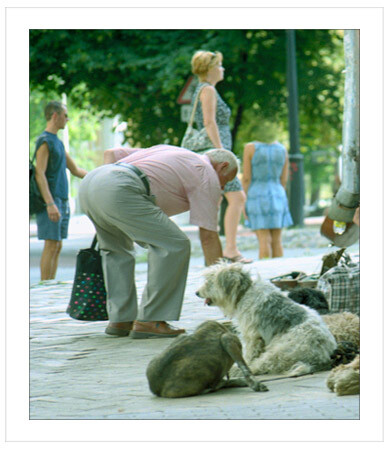 старий учител-2 (ракурц)