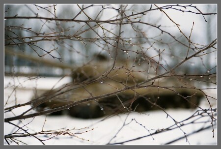 танк сквозь слезы