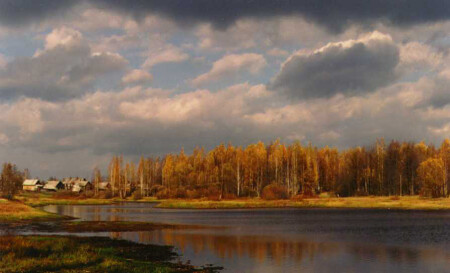 Они плывут как ПАВЫ