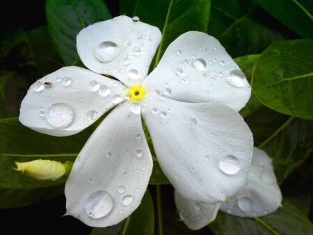 После дождя