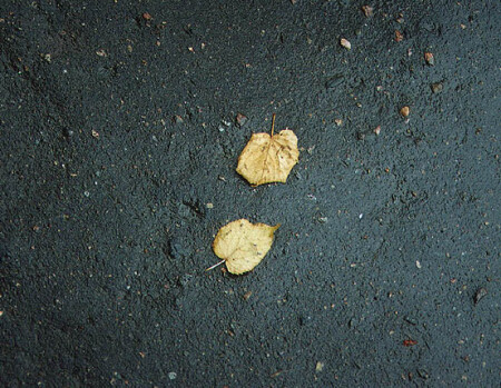 СAPPA (пер с ит.=пара)