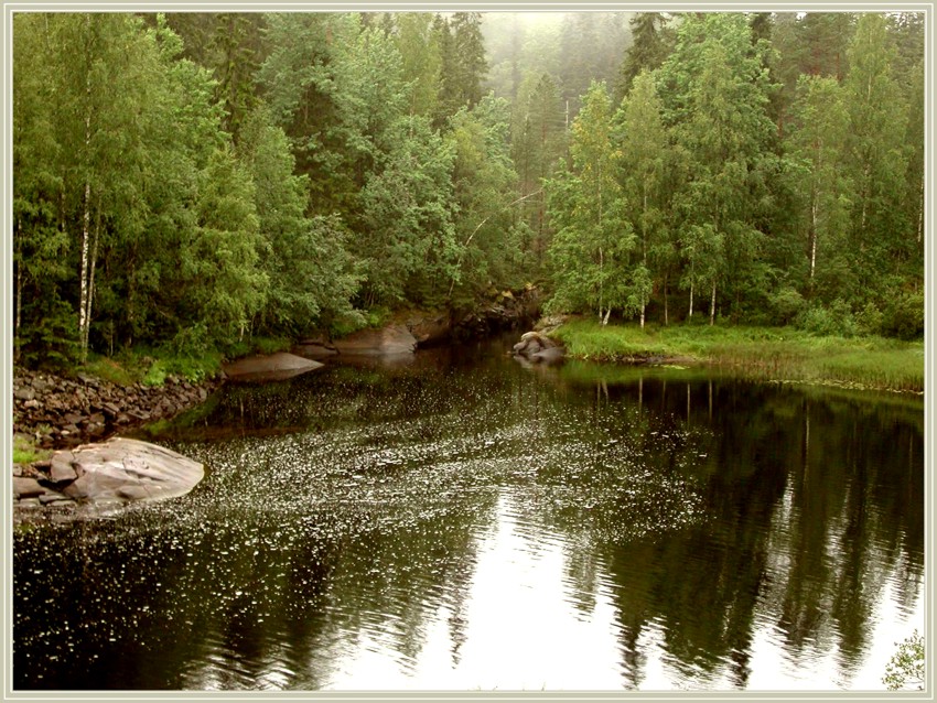Заводь 2