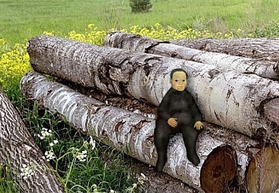 Бес на отдыхе