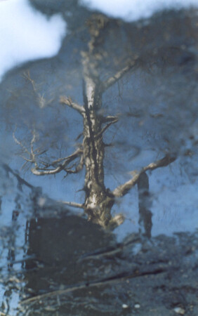 untitled-1