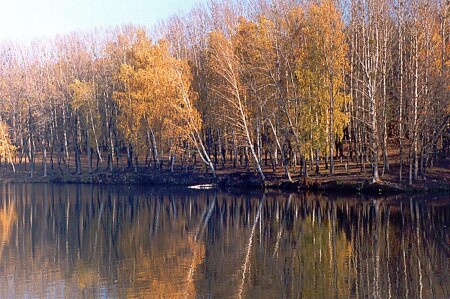 Ещё одна осень
