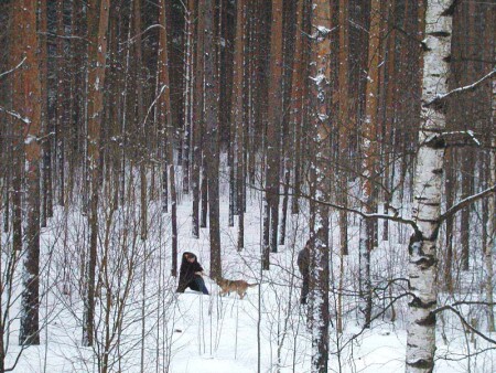 Вид из моего окна