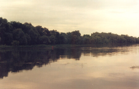 Придонский пейзаж