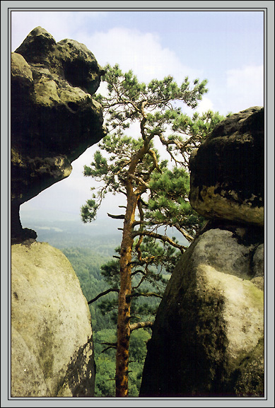 Песчанники Эльбы