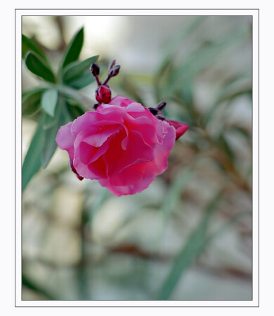 Любви вам, друзья!