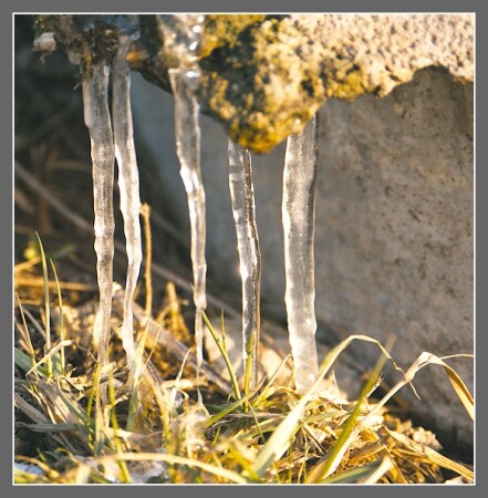 весна (первый ручей)