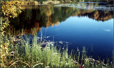 Гляжу в озера синие...