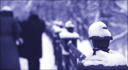Ненадежный снег прошедшей зимы