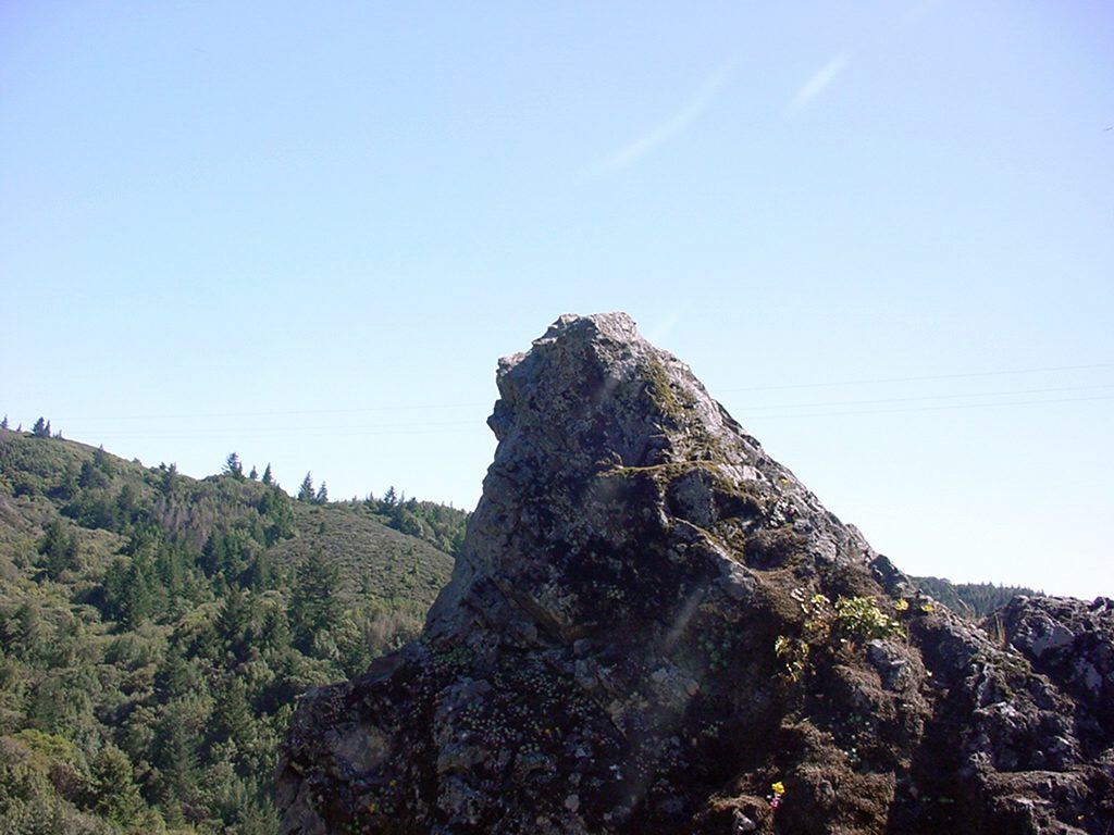 Stone Face