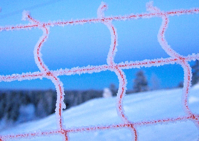 Сеточка