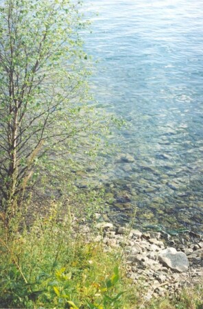 Байкальская вода