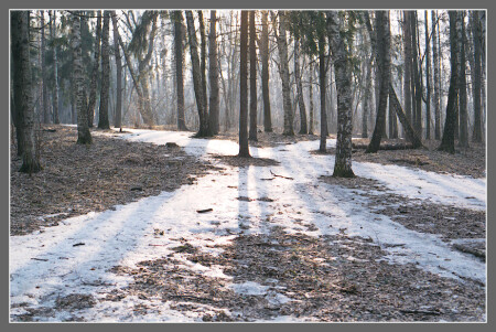 мартовское утро