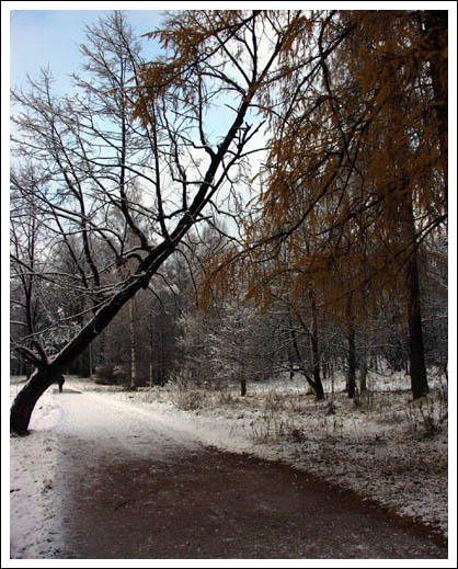 Первый снег