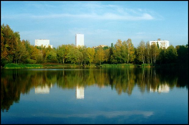 Зеркальное отражение