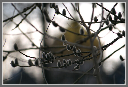 мрачный взгляд на РПЦ