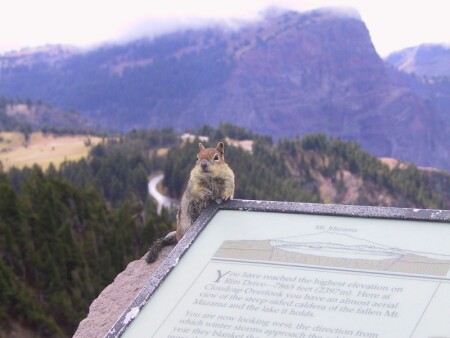 Утренняя экскурсия