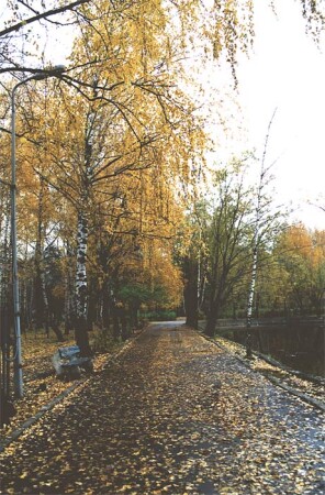 В осеннем пораке городском...
